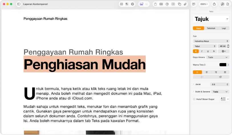 Buka dokumen dengan bar sisi format terbuka dan tab teks yang dipilih.