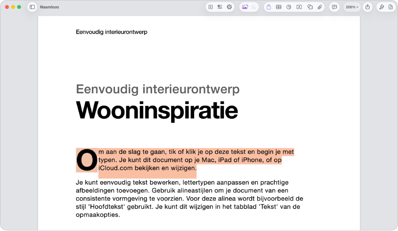 Een geopend document waarin plaatsaanduidingstekst is geselecteerd.