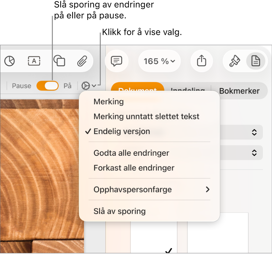 Menyen for sporingsvalg, med Slå av sporing nederst og forklaringer for Sporing på- og Pause-knappene.