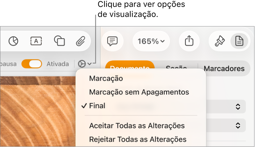 O menu de opções de revisão mostrando Marcação, Marcação Sem Exclusão e Final.