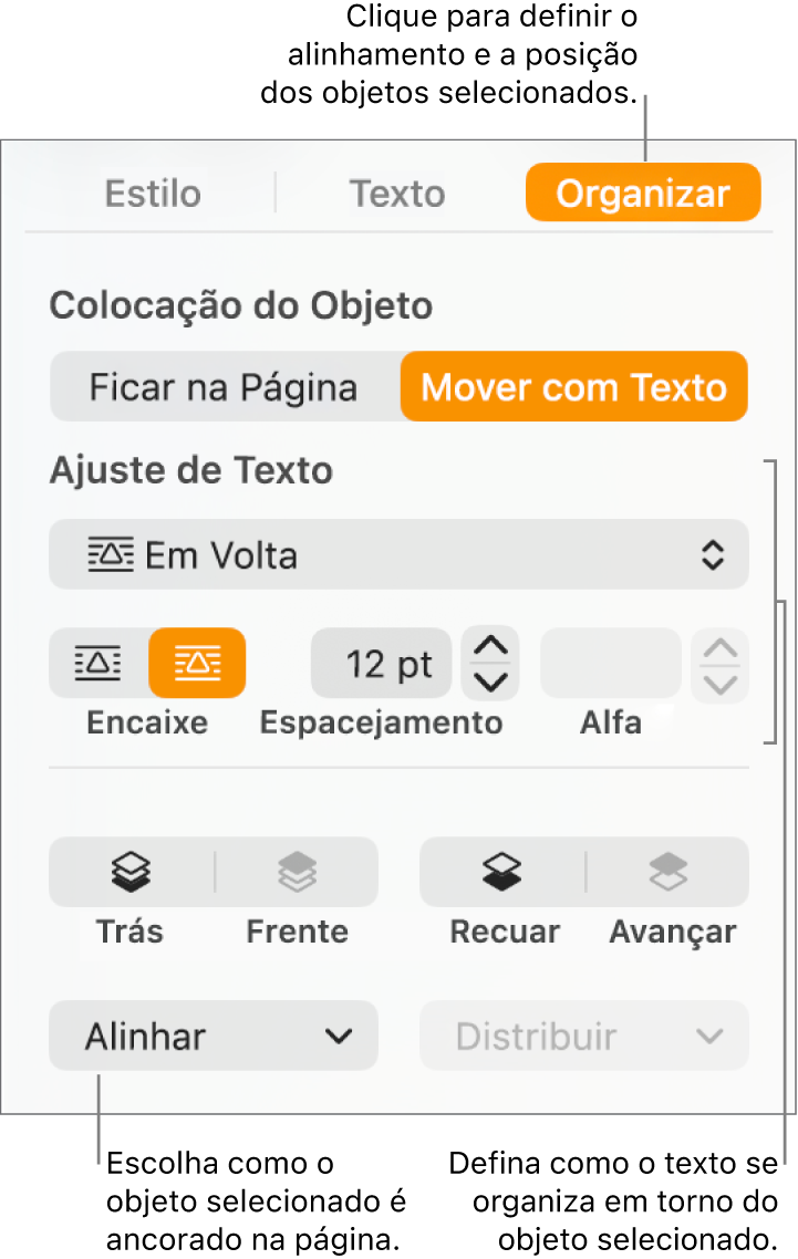 O menu Formatar com a barra lateral Organizar exibida. Os ajustes de “Colocação do Objeto” estão na parte superior da barra lateral Organizar, com os ajustes de “Ajuste de Texto” abaixo.