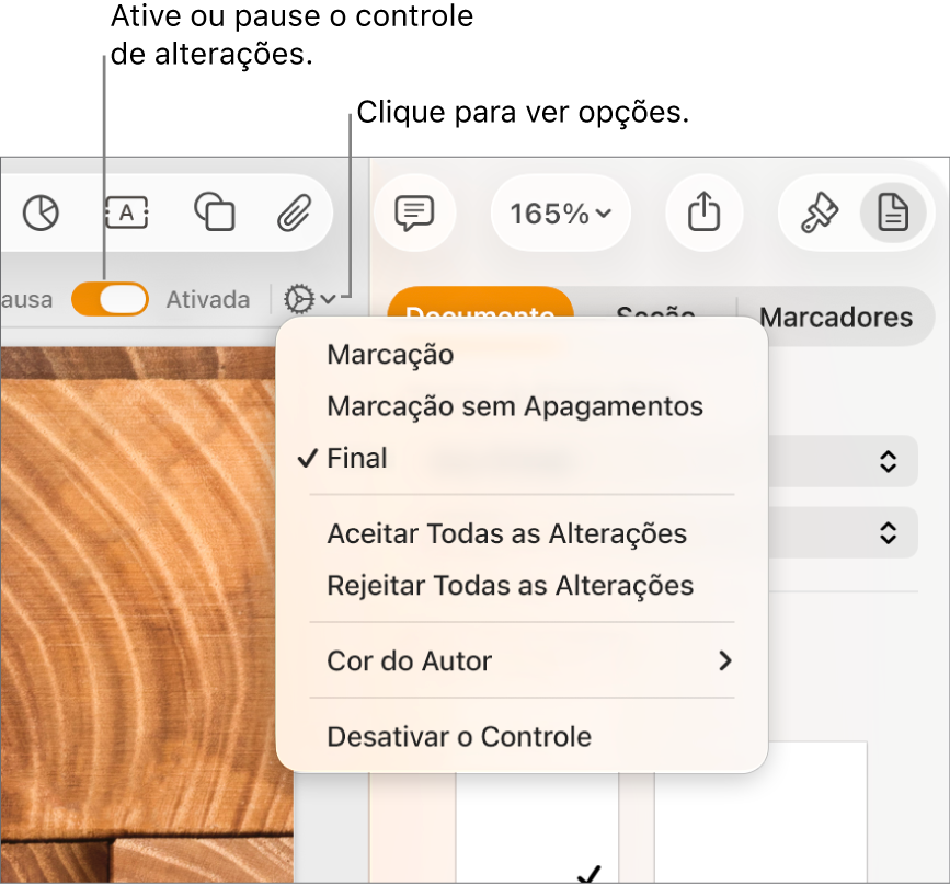 Menu de opções de controle mostrando Desativar o Controle na parte inferior e balões explicativos para os botões “Ativar o Controle” e Em pausa.