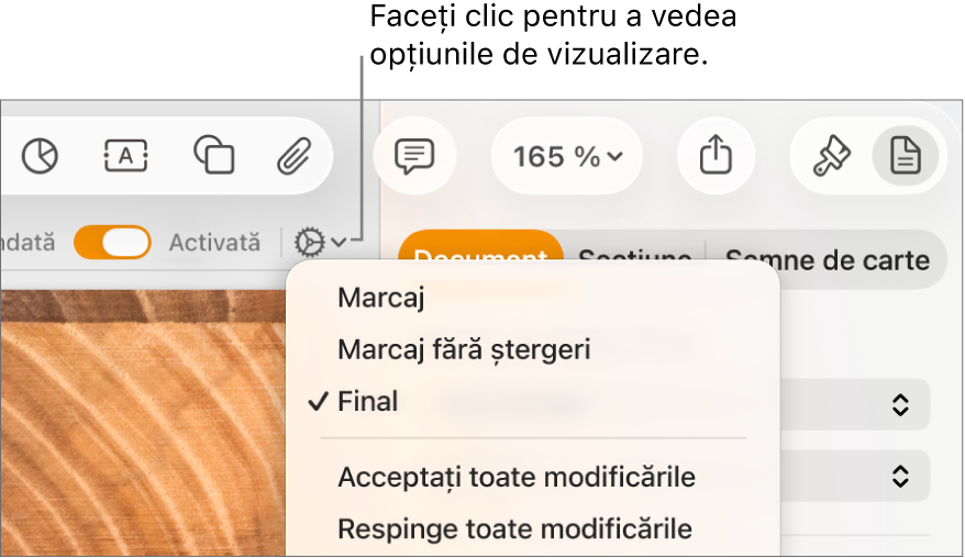 Meniul de opțiuni pentru revizuire afișând Marcaj, Marcaj fără ștergeri și Final.