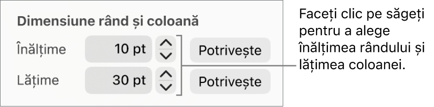 Comenzile pentru setarea unei dimensiuni precise a rândului sau coloanei.
