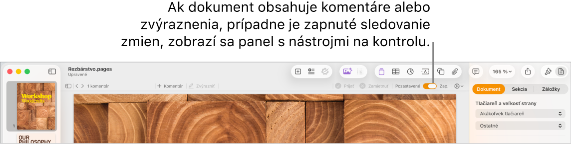 Panel s nástrojmi Pages so zapnutým sledovaním zmien a panel s nástrojmi revízií je pod ním.