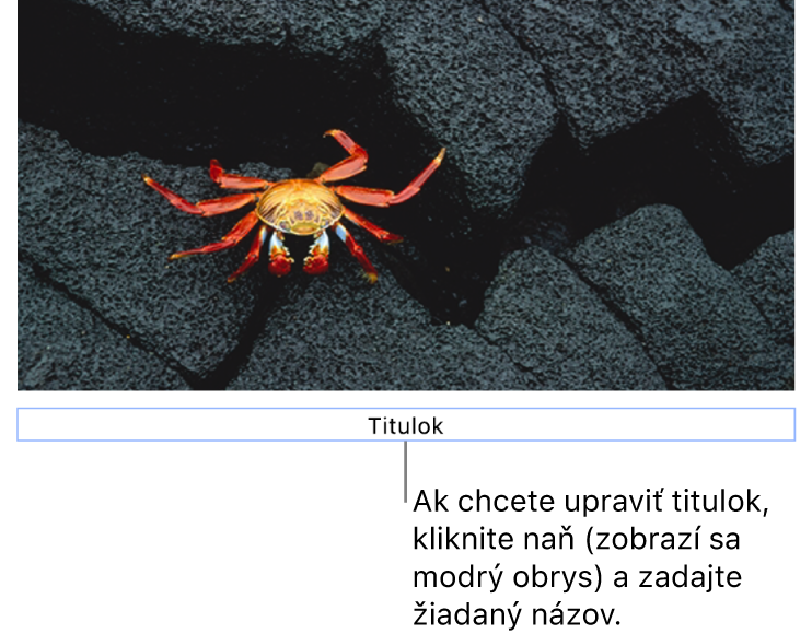 Pod fotkou sa zobrazí vzorový titulok „Titulok“. Okolo poľa titulku sa zobrazí modrý obrys, čo znamená, že je označený.