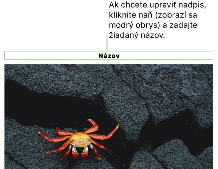 Pod fotkou sa zobrazí vzorový názov „Názov“. Okolo poľa názvu sa zobrazí modrý obrys, čo znamená, že je označený.