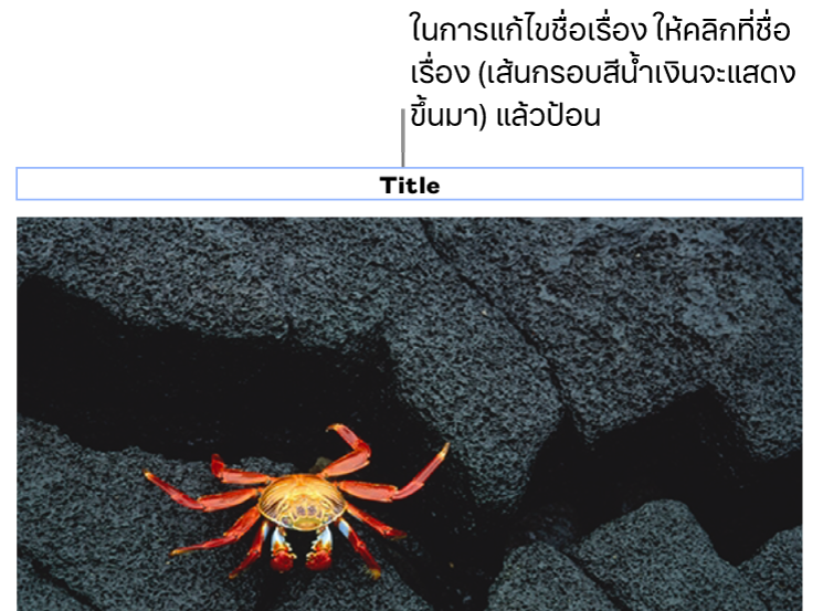 ชื่อเรื่องในช่องว่าง “ชื่อเรื่อง” แสดงขึ้นมาด้านล่างรูปภาพ โดยเส้นกรอบสีน้ำเงินรอบช่องชื่อเรื่องแสดงว่าถูกเลือก