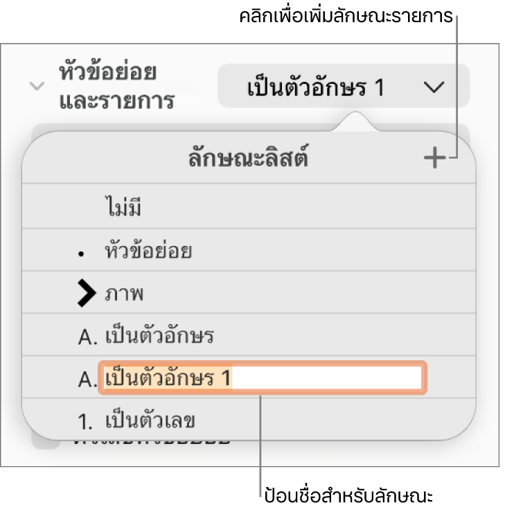 เมนูลักษณะรายการที่แสดงขึ้นที่มีปุ่มเพิ่มอยู่มุมขวาบนสุด และชื่อลักษณะช่องว่างที่มีข้อความที่เลือกอยู่