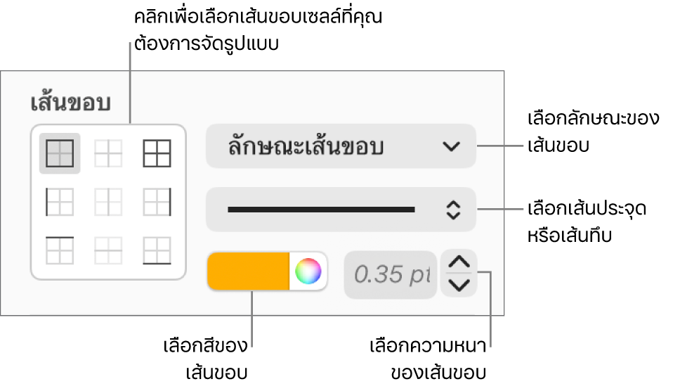 ตัวควบคุมการจัดลักษณะของเซลล์