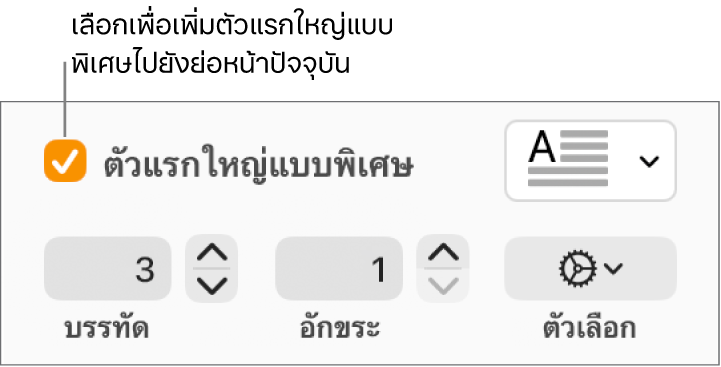 กล่องกาเครื่องหมายตัวแรกใหญ่แบบพิเศษถูกเลือกอยู่ และเมนูที่แสดงขึ้นแสดงทางด้านขวา โดยตัวควบคุมสำหรับการตั้งค่าความสูงของบรรทัด จำนวนอักขระ และตัวเลือกอื่นๆ แสดงอยู่ด้านล่าง