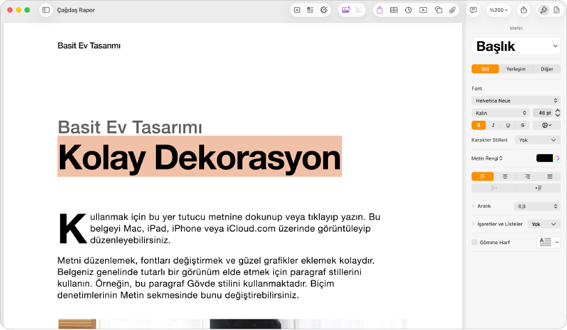 Biçim kenar çubuğu açık ve Metin sekmesi seçili olarak açık bir belge var.