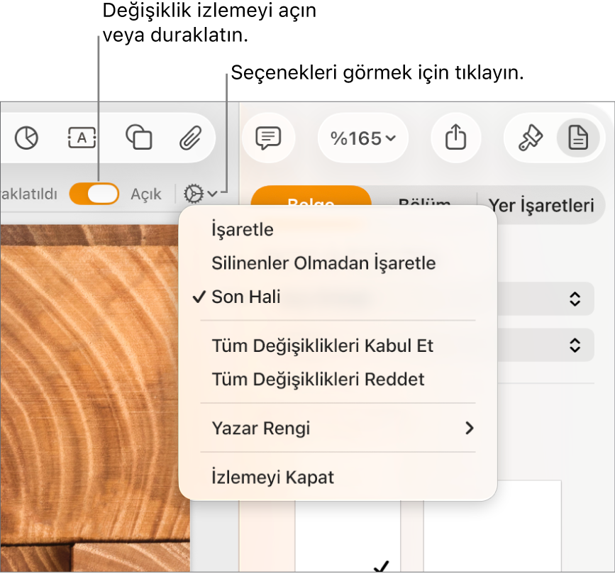 Alt kısımda İzlemeyi Kapat’ı ve İzleme Açık ve Durduruldu düğmesi belirtimlerini gösteren izleme seçenekleri menüsü.