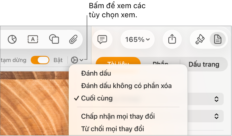 Menu tùy chọn kiểm tra đang hiển thị Đánh dấu, Đánh dấu không có phần xóa và Cuối.