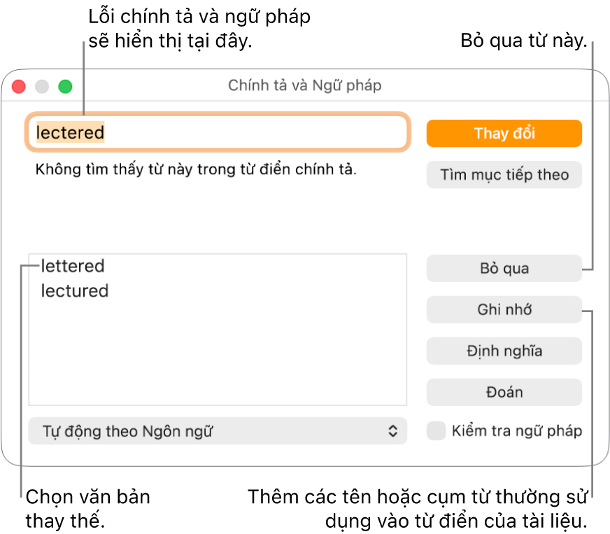 Cửa sổ Chính tả và ngữ pháp.