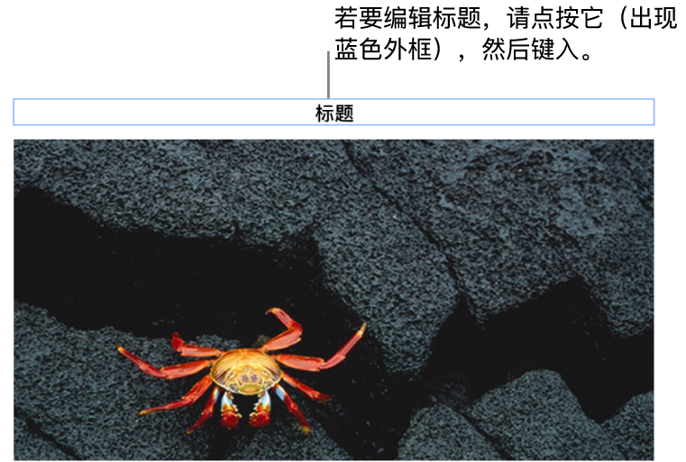 占位符标题“标题”显示在照片下方;标题栏周围的蓝色外框表示它已被选中。