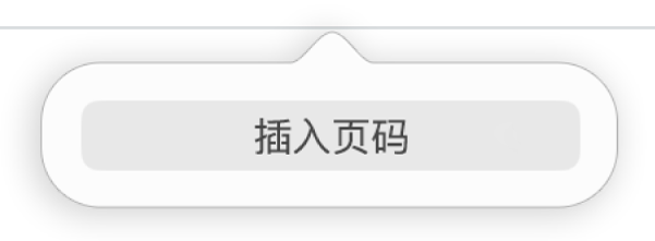 页眉下方的“插入页码”按钮。