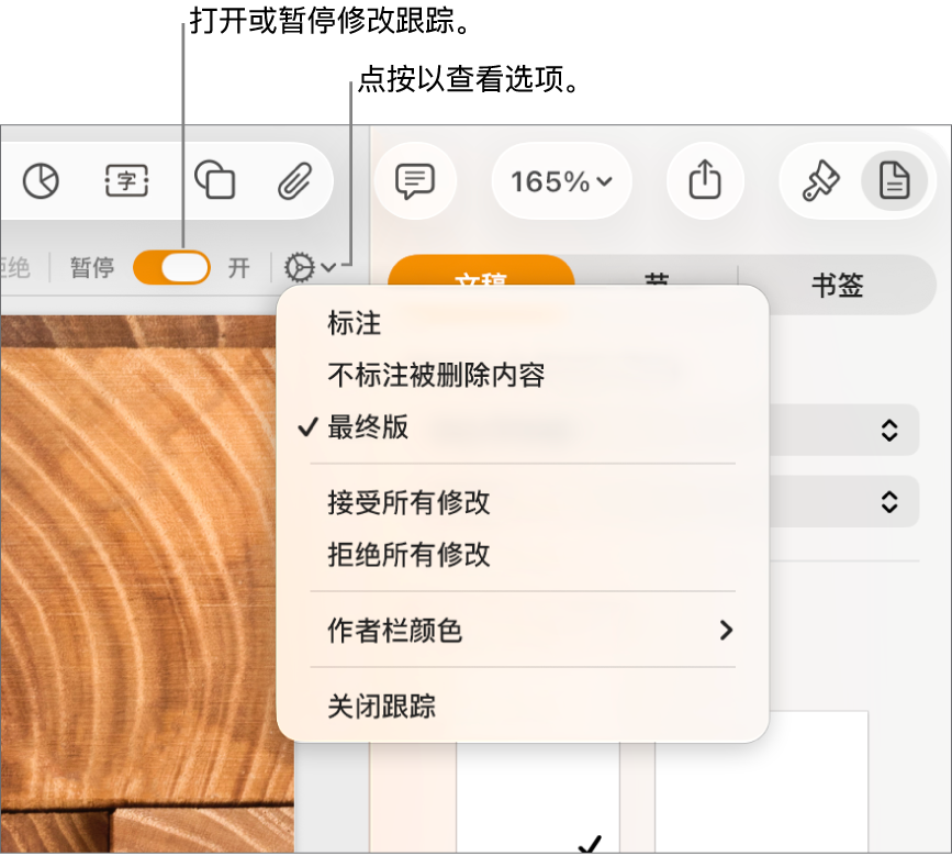 在底部显示“关闭跟踪”和显示“跟踪已打开”和“暂停”按钮矩形标注框的“跟踪”选项菜单。