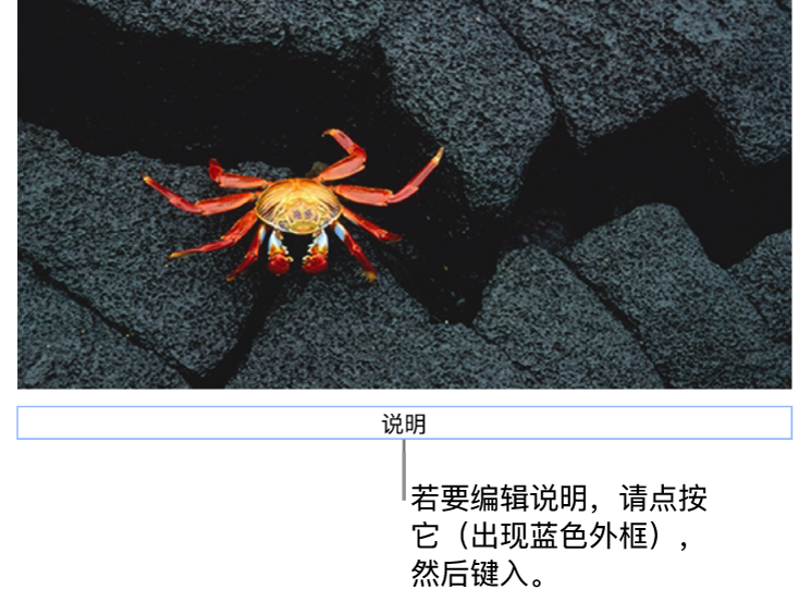占位符说明“说明”显示在照片下方;说明栏周围的蓝色外框表示它已被选中。