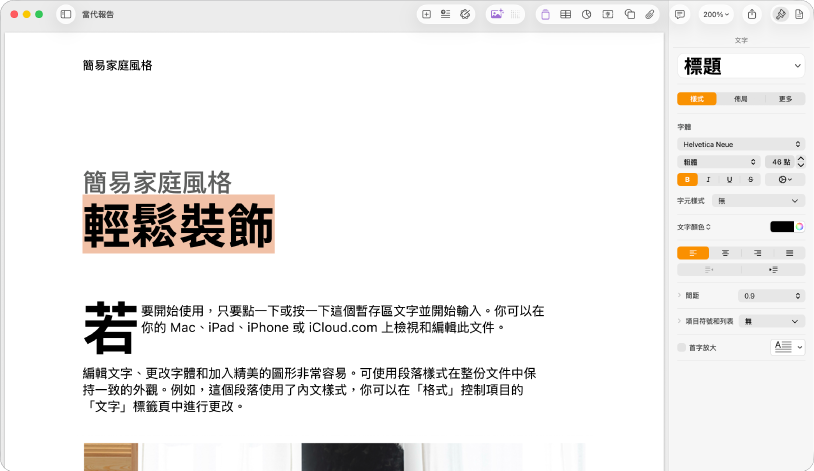 打開的文件顯示打開的格式側邊欄,並選取了文字標籤頁。