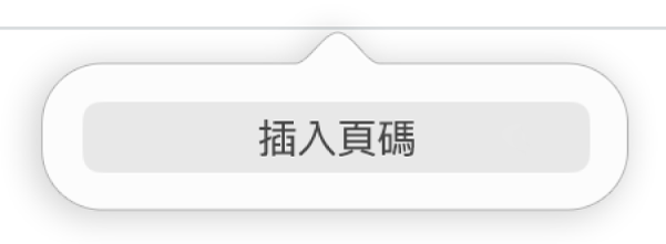 標題下方的「插入頁碼」按鈕。