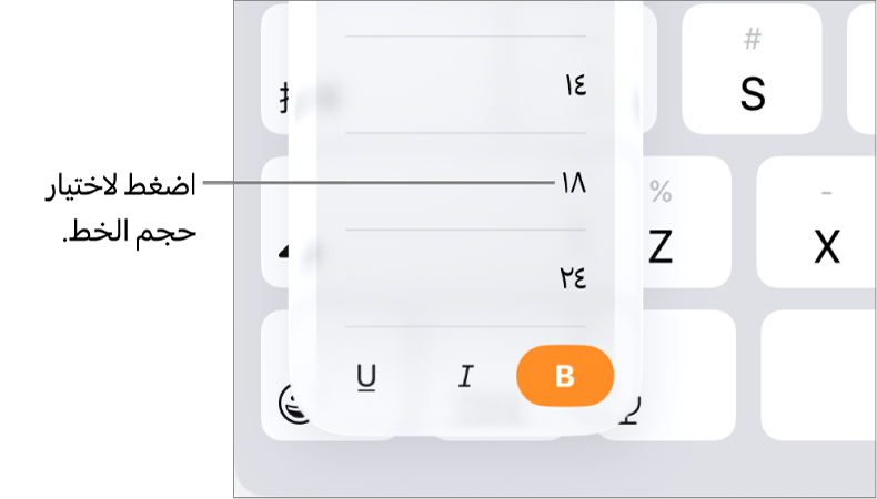 زر حجم الخط على الجهة اليسرى من لوحة مفاتيح الـ iPad وبها قائمة حجم الخط مفتوحة. أحجام الخط القياسية لحكومة بر الصين الرئيسي تظهر في أعلى القائمة مع أحجام النقاط في الأسفل.