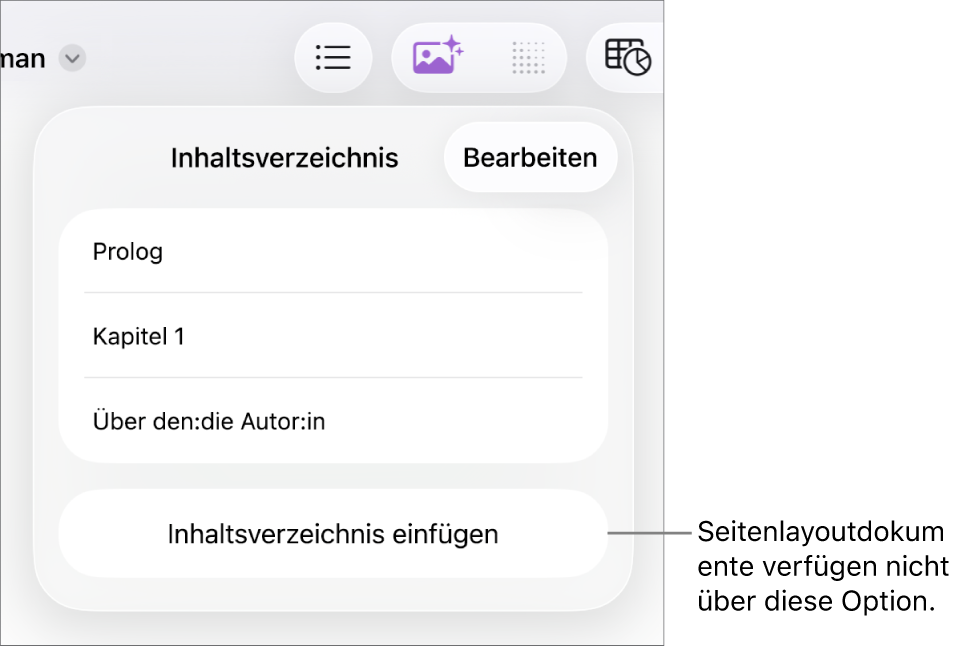 Die Darstellung „Inhaltsverzeichnis“ mit der Taste „Bearbeiten“ in der oberen rechten Ecke, den Einträgen des Inhaltsverzeichnisses und der Taste „Inhaltsverzeichnis einfügen“ ganz unten.
