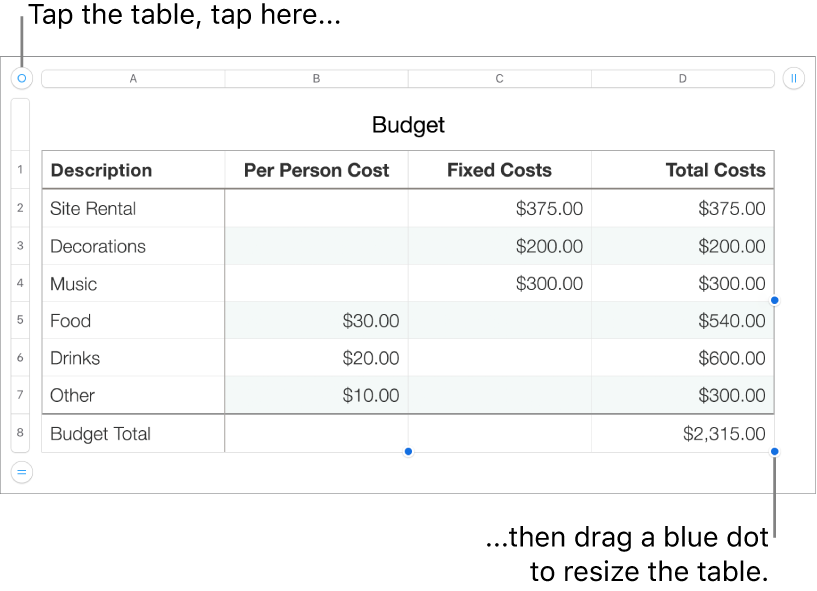 A selected table with blue dots for resizing.