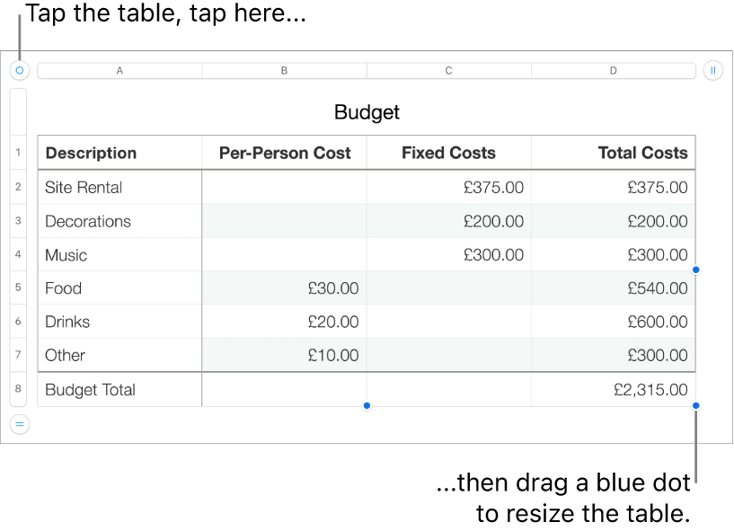 A selected table with blue dots for resizing.