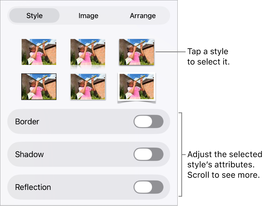 The Style tab of the Format menu with object styles at the top and controls below them to change the border, shadow, reflection, and opacity.