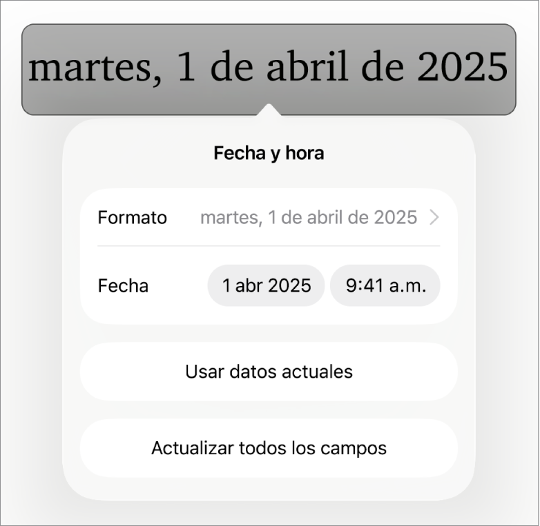 Los controles de Fecha y hora con un menú desplegable para el formato de fecha y los botones Usar datos celulares y Actualizar todos los campos.