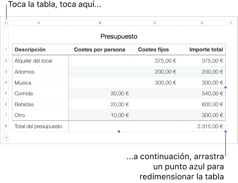 Una tabla seleccionada con puntos azules para redimensionarla.