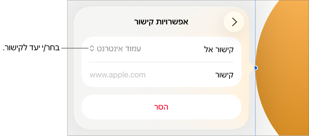 כלי הבקרה של ״אפשרויות קישור״ כאשר האפשרות ״עמוד אינטרנט״ נבחרת ובחלק התחתון מוצג הכפתור ״הסר״.