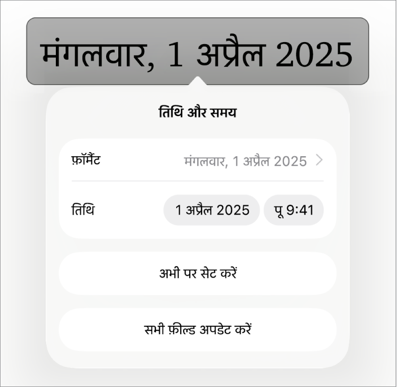 तिथि और समय नियंत्रण, जो तिथि फ़ॉर्मैट के लिए पॉप-अप मेनू और “आज पर सेट” तथा “सभी फ़ील्ड अपडेट करें” बटन दिखा रहे हैं।