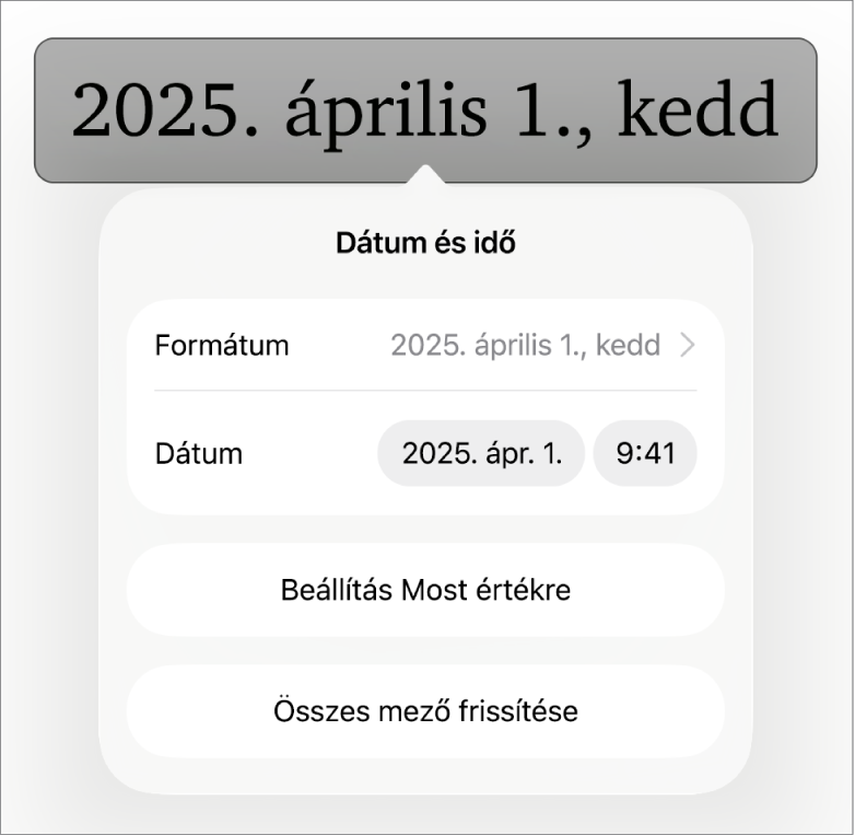 A Dátum és idő vezérlők a Dátumformátum, a Beállítás Most értékre és az Összes mező frissítése gombok felugró menüjével.
