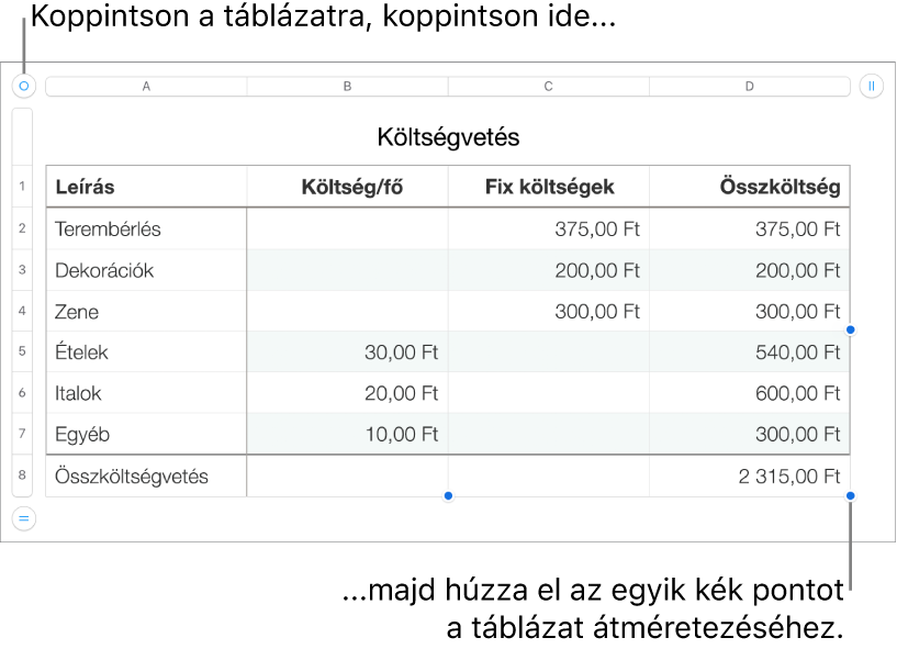 Kijelölt táblázat, átméretezésre szolgáló kék pontokkal.