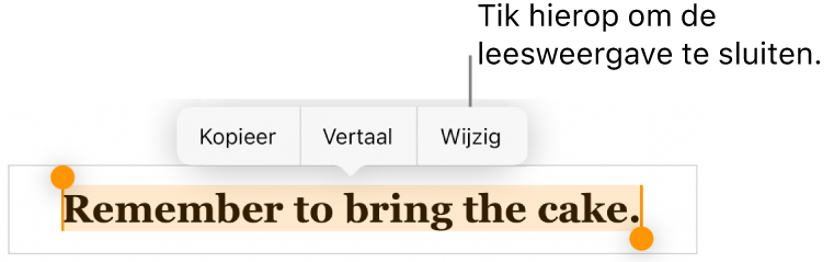 Er is een zin geselecteerd en erboven staat een contextueel menu met de knoppen 'Kopieer' en 'Wijzig'.