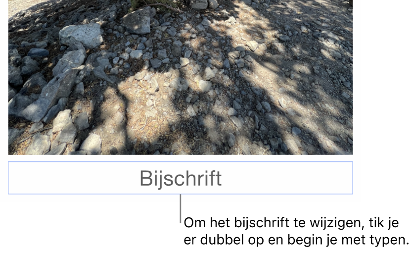 Onder een foto staat de plaatsaanduiding 'Bijschrift'. Een blauwe rand om het bijschriftveld geeft aan dat het geselecteerd is.