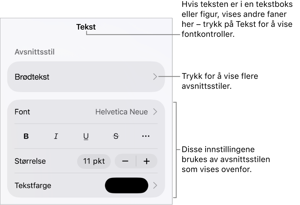 Format-menyen som viser tekstkontroller for å angi avsnitts- og tegnstiler, font, størrelse og farge.