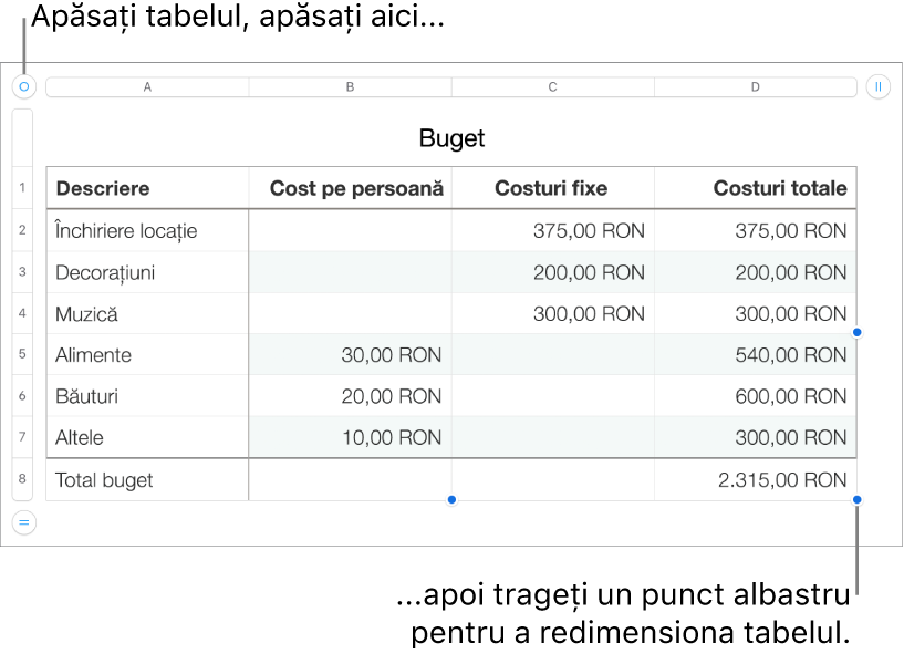Un tabel selectat, cu puncte albastre pentru redimensionare.