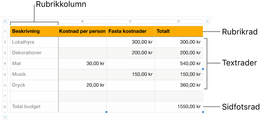 En tabell med rubrikrader och -kolumner, textrader och -kolumner, och sidfotsrader.
