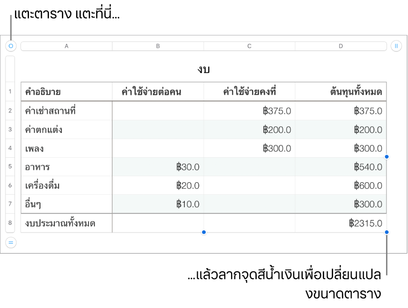 ตารางที่เลือกอยู่พร้อมจุดสีน้ำเงินสำหรับปรับขนาด