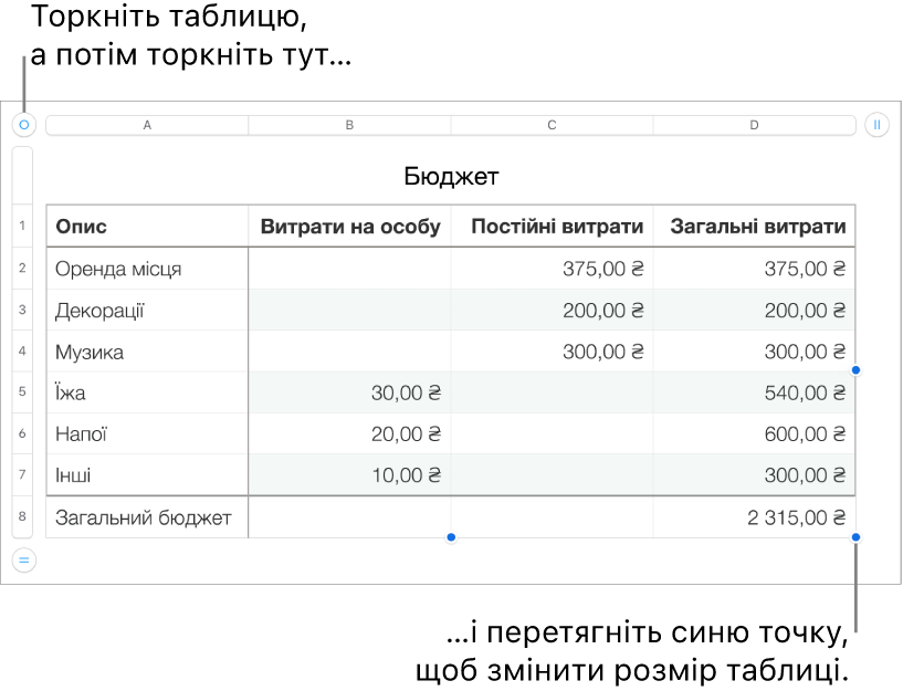 Вибрана таблиця із синіми точками, які призначені для редагування розміру.