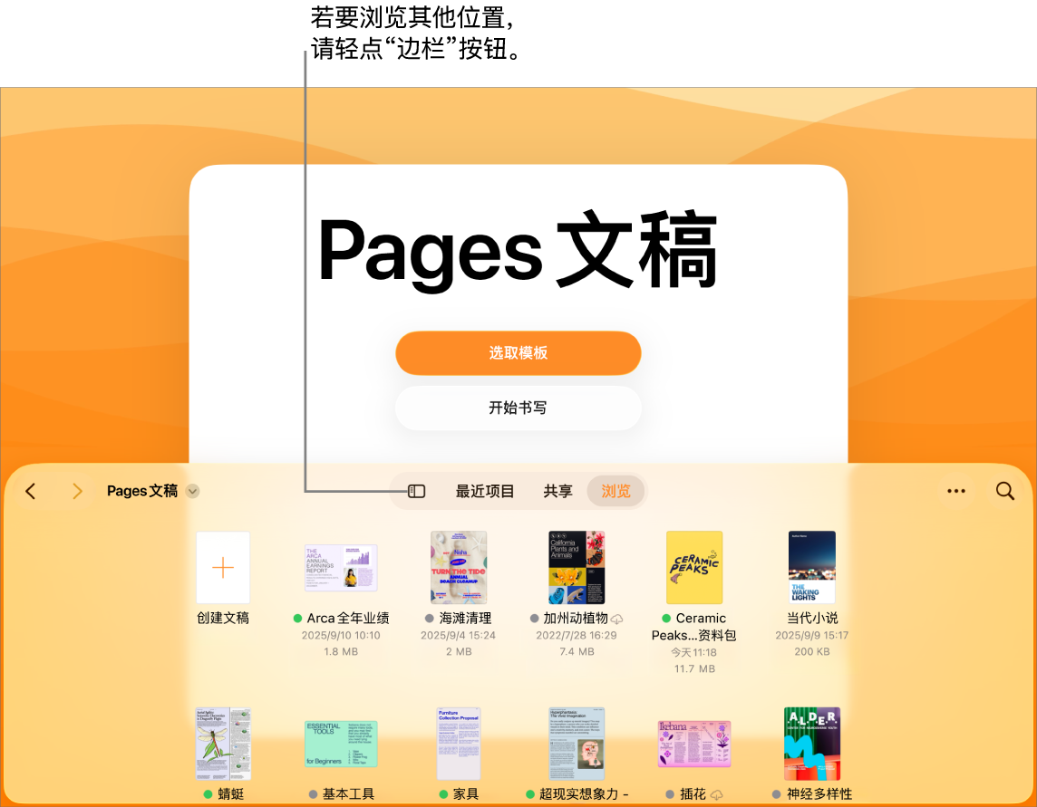 文稿管理器的浏览视图，“边栏”按钮位于左上角。右上方是“添加”按钮、“新建文件夹”按钮、“图标”按钮（按照名称、日期、大小或标记来排序）、“选择”按钮以及“搜索”按钮。这些按钮下方是现有文稿的缩略图。