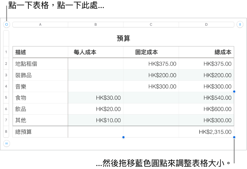 選取的表格,帶有調整大小的藍色圓點。