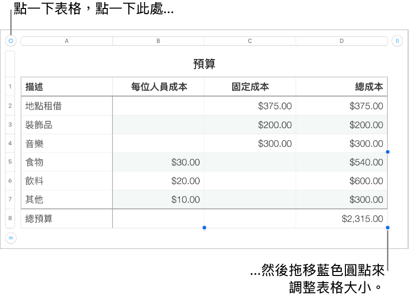 選取的表格,帶有調整大小的藍色圓點。
