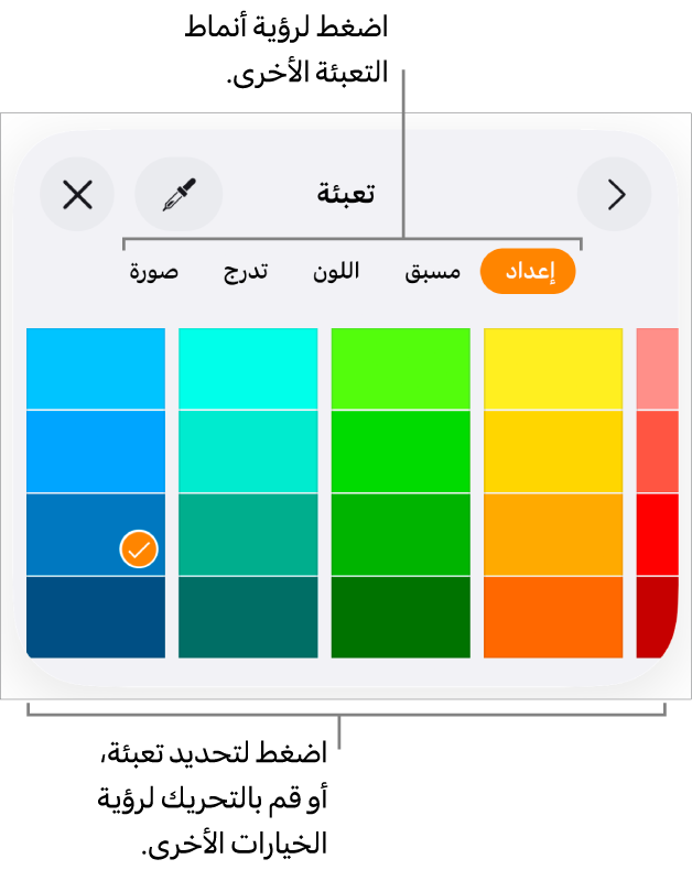 خيارات تعبئة في علامة تبويب النمط الخاص بزر التنسيق.