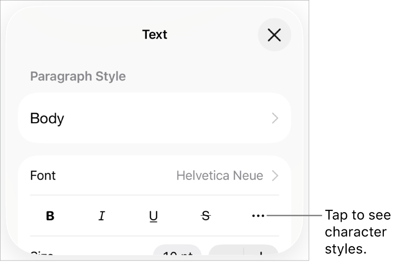 The Format controls with Bold, Italic, Underline, Strikethrough, and More Text Options buttons.