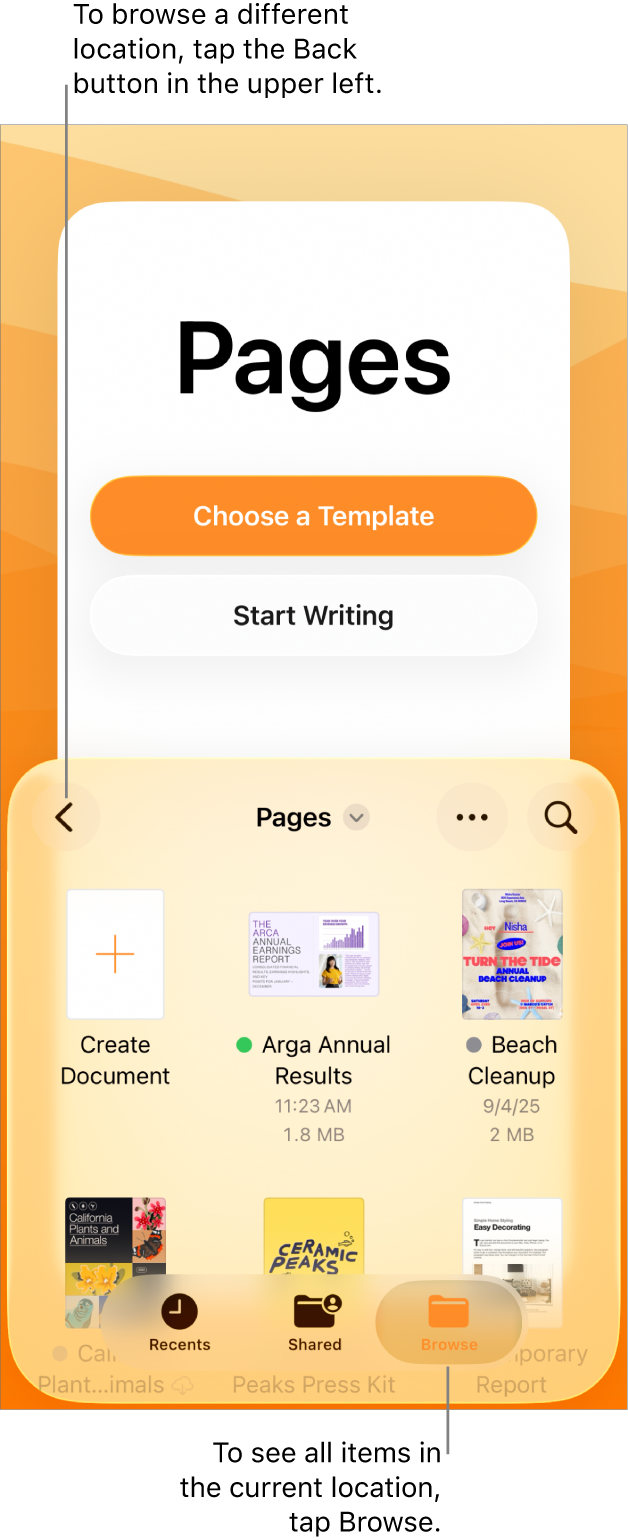 The browse view of the document manager with the Back button in the top-left corner and below it a Search field. Below the Search field is a Create Document button next to thumbnails of existing documents. In the top-right corner are the Recents, Shared, and Browse buttons.