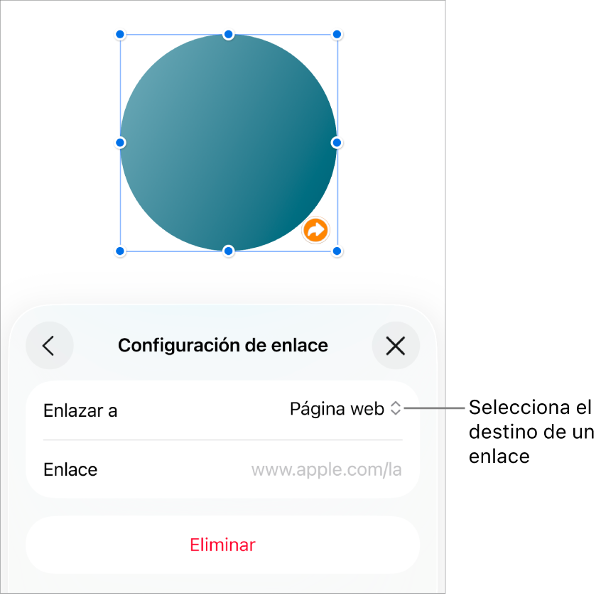 Los controles de Configuración de enlace con la opción Página web seleccionada, y el botón Eliminar en la parte de abajo.